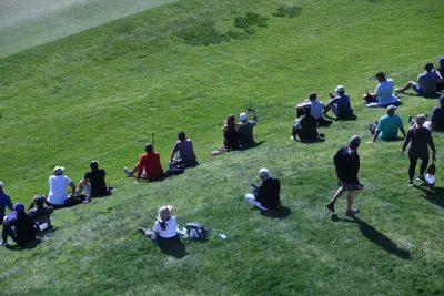 DSC_0746 (Large).JPG